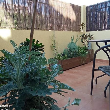 Loft Alquiler Alcalali Apartment Luaran gambar